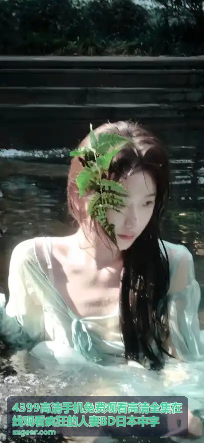 揭秘“毛片A片一级片”：网络电影分级的误解与真相